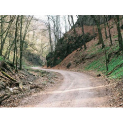 Intelligent Leather Shirt fr-FR